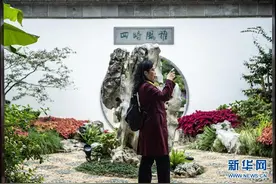 第四届中国绿化博览会在贵州都匀开幕图片