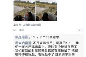 上海野生动物园一饲养员被熊群攻击遇难 猛兽区已关闭调查正进行图片