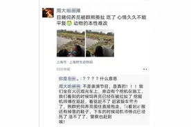 上海野生动物园一饲养员被熊群攻击遇难 猛兽区已关闭调查正进行图片