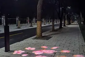 常州老城厢最美风韵路升级了！红梅路提升改造开通图片