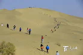 沙漠马拉松300余名奔跑者体验沙漠竞技快乐图片