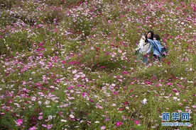 南京谷里：全域建设美丽乡村大景区图片