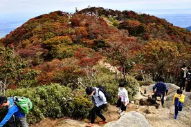 日本御在所岳枫叶渐红 吸引游人登高赏秋图片