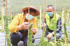 脱贫攻坚交满意答卷图片
