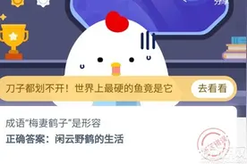 成语“梅妻鹤子”是形容 蚂蚁庄园10月19日每日一题答案最新图片