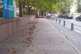 落叶难归根图片