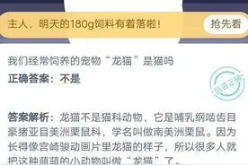 我们经常饲养的宠物龙猫是猫吗？蚂蚁庄园小鸡宝宝10月19日答案今天图片