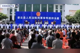 广西百色公开宣判8起“民族资产解冻”诈骗案 17人被判刑图片