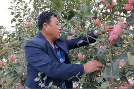 烟台牟平：基地引领 激活果业发展新动能图片