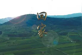 我爱山东，我为家乡代言｜回家图片