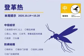 第二波蚊子“小高峰”杀到！观澜山水田园高风险，深圳这12个小区很危险图片