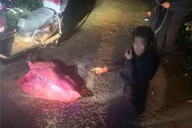 曲靖一“老奶”伙同他人进村偷鸡摸狗30余次被抓，太丢脸了图片