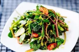 浙江6人吃野菜致肾坏掉！这种鲜美“长寿菜”还能吃吗？图片