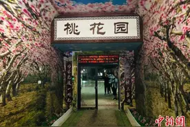 探访不一样的“精神病院”：“桃红症”患者的“桃花园”图片