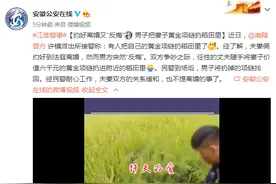 约好离婚又“反悔”男子把妻子黄金项链扔稻田里图片