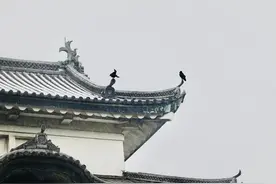 日本天皇到底承载着何种历史意义图片