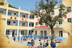 民间实物故事｜偏城小学的百年核桃树图片