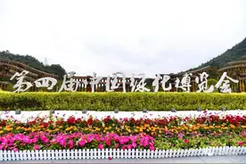 走进绿博园，共享生态盛宴图片