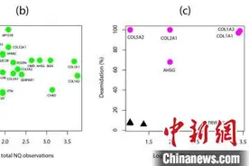 最新研究：百万年前东亚洞穴鬣狗与非洲现生斑鬣狗或存在基因交流图片