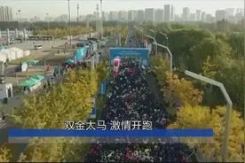 双金太马 激情开跑