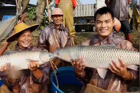 每一口都是脆脆脆脆脆！图片