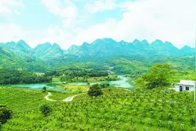 聚焦民生善作为 做强产业增动力——山东青岛帮扶贵州安顺深挖穷根、勇闯富路图片