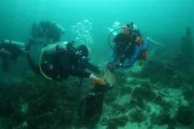 “海洋卫士”王淼潜在海平面下“创业”图片