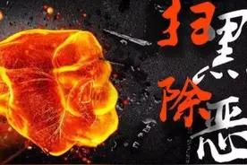 起底刘立军黑社会性质组织案 涉故意杀人罪等12项罪名图片