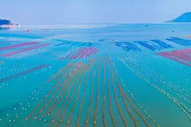 【“飞阅”中国】航拍海上五彩秋收图视频封面