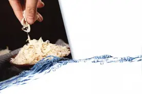 用虾皮可自制味精 为何被称天然钙库？图片