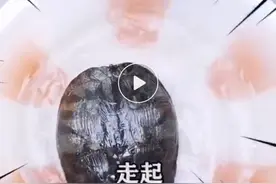 求帮忙遛下乌龟！杭州外卖小哥接单，最后花了1个来小时带乌龟兜风，他自己都笑了图片