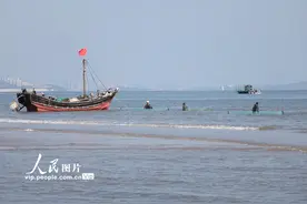 青岛：渔民独特捕虾方式尽现古朴渔家风情图片