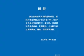 湖北高院通报：副院长张忠斌在办公室自缢身亡图片