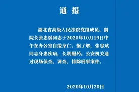 湖北高院副院长张忠斌自缢死亡，警方通报来了图片