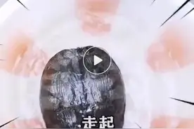 帮忙遛下乌龟！杭州外卖小哥接到爆笑“订单备注”，还有更绝的图片