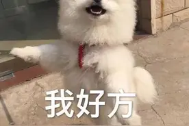 他来了他来了，带着你的“逾期记录”走来了图片