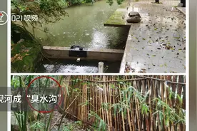 ​上海5000万元别墅业主被责令自拆违建！河道被侵占，亲水变“臭水”视频封面