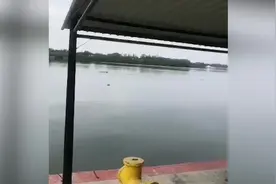 墨西哥一男子无视禁令下湖游泳被鳄鱼袭击身亡 目击者发出尖叫图片
