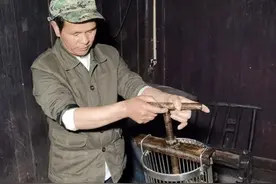 湖南石门：双目失明的“养蜂高人”致富记图片