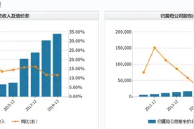 起底潮汕女富豪苏素玉：热电起家的联美系如何搭建资本帝国图片