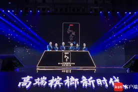 百元槟榔万里挑一 产自海南万宁图片