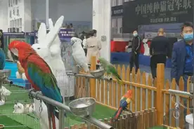 第四届中国·南和（国际）宠物产业博览会开幕图片