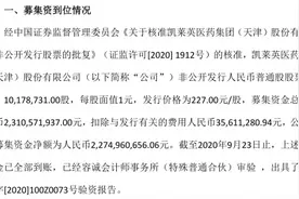 快讯｜凯莱英23亿元定增募资已到账 高瓴10亿参与的背后逻辑图片
