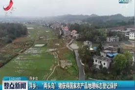 萍乡：“两头乌”猪获得国家农产品地理标志登记保护视频封面