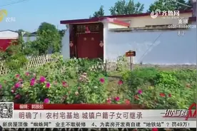 明确了！农村宅基地，城镇户籍子女可继承并办理不动产登记视频封面