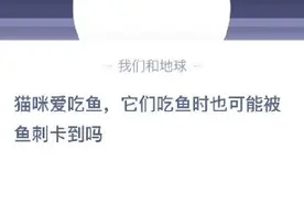 猫咪爱吃鱼它们吃鱼时也可能被鱼刺卡到吗 可能会还是肯定不会图片