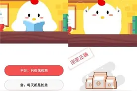 向日葵会一直跟着太阳的方向转来转去吗 会还是不会？图片