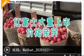 烟台红富士大量上市价格亲民！80以上规格十元能买到三四斤图片