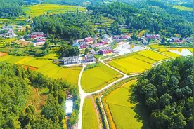 浙江省龙泉市对口帮扶四川省广元市昭化区 龙泉昭化心手相牵合力奔小康图片