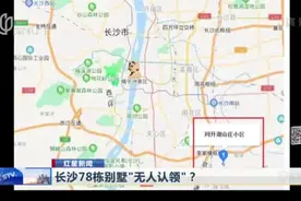 网传长沙78栋别墅“无人认领”：官方——已联系到66套别墅业主视频封面